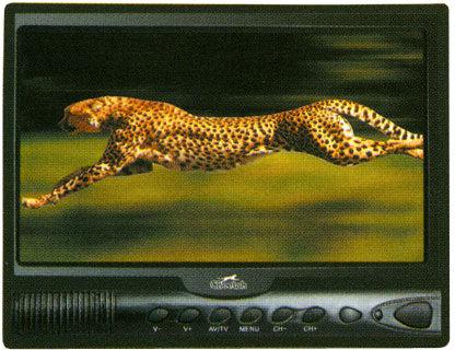 Cheetah